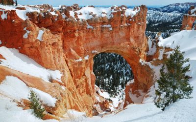 Booking Express Travel Members Explore Bryce Canyon