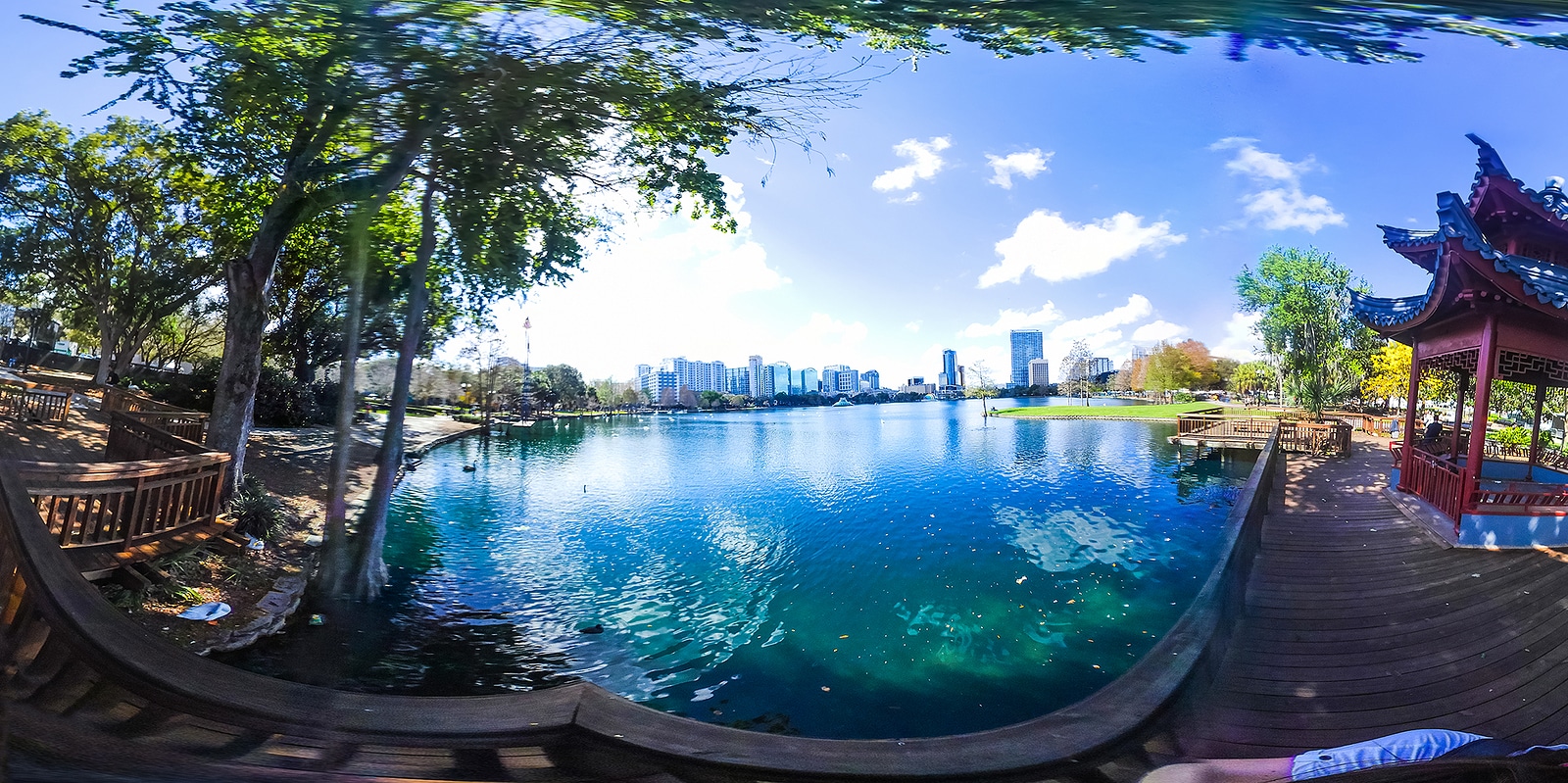 360 Degrees Panorama Of Lake Eola Park In Orlando, Florida